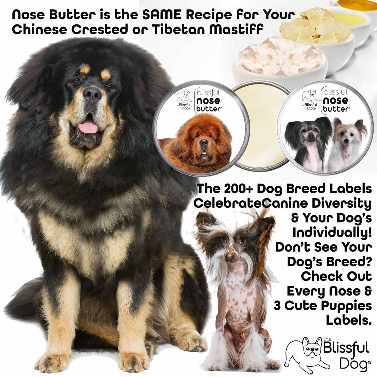 NOSE BUTTER DOG BREED LABELS